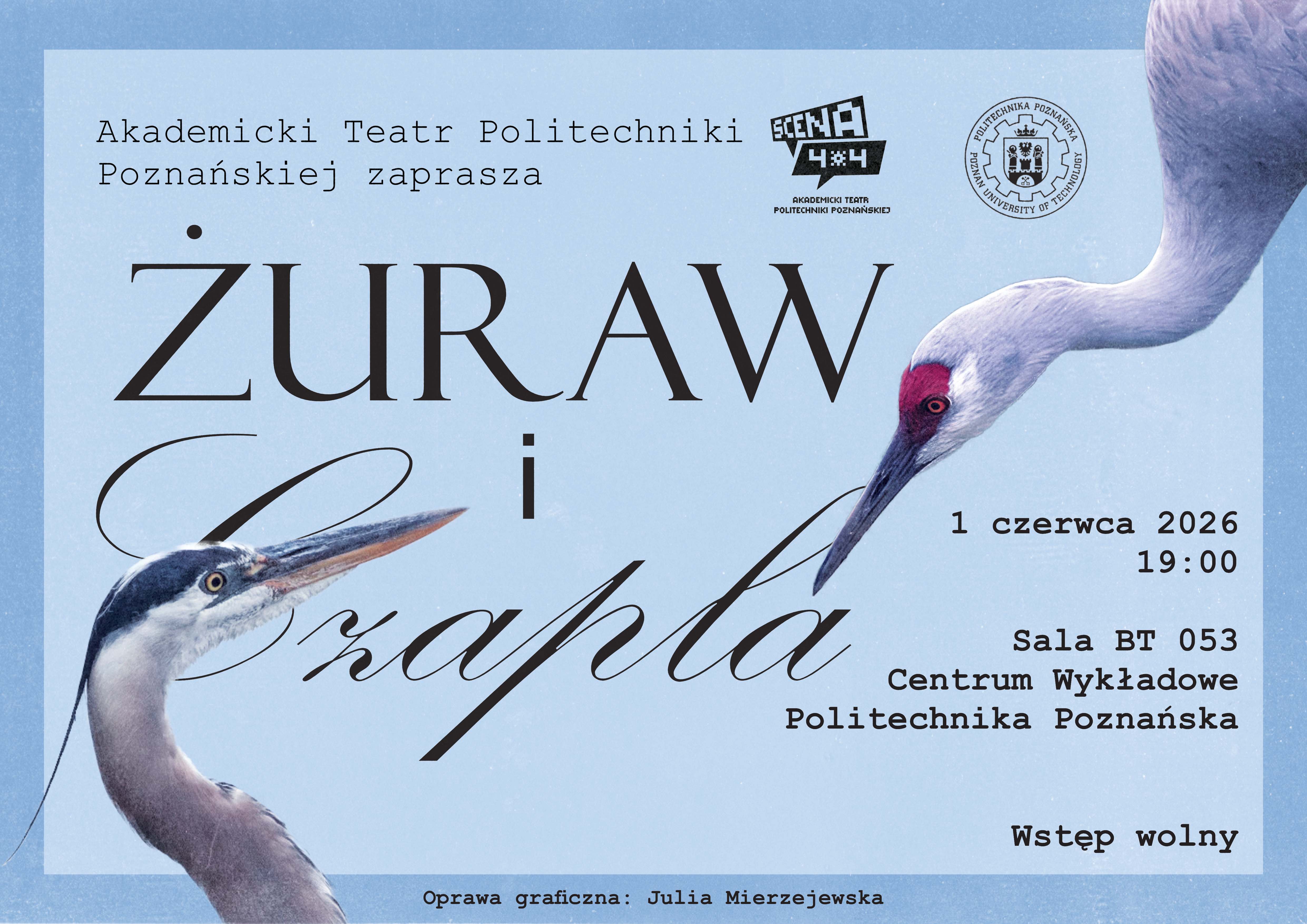 grafika