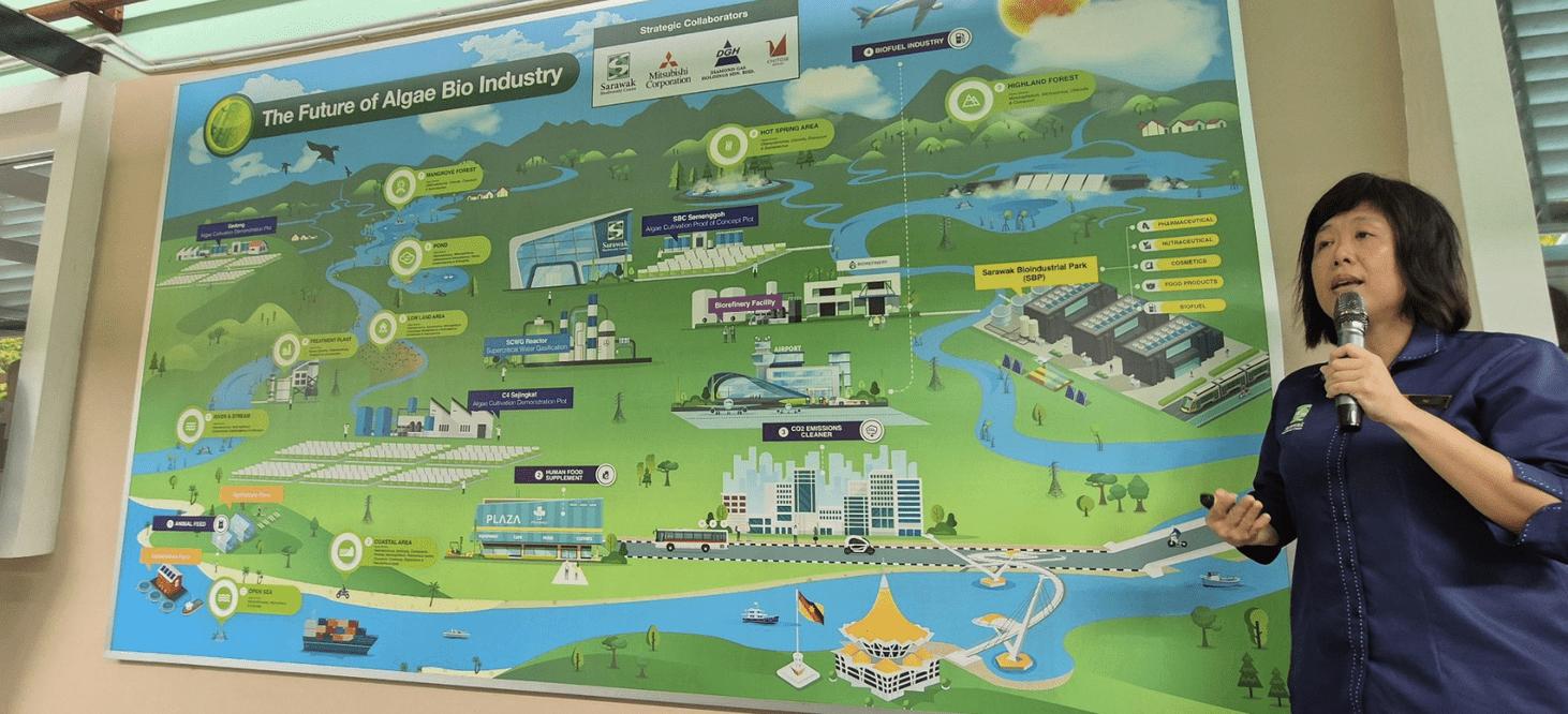 Prelekcja lokalnej ekspertki omawiającej wielki, zielony schemat infograficzny przedstawiający przyszłość przemysłu opartego na bio-algach („The Future of Algae Bio Industry”).