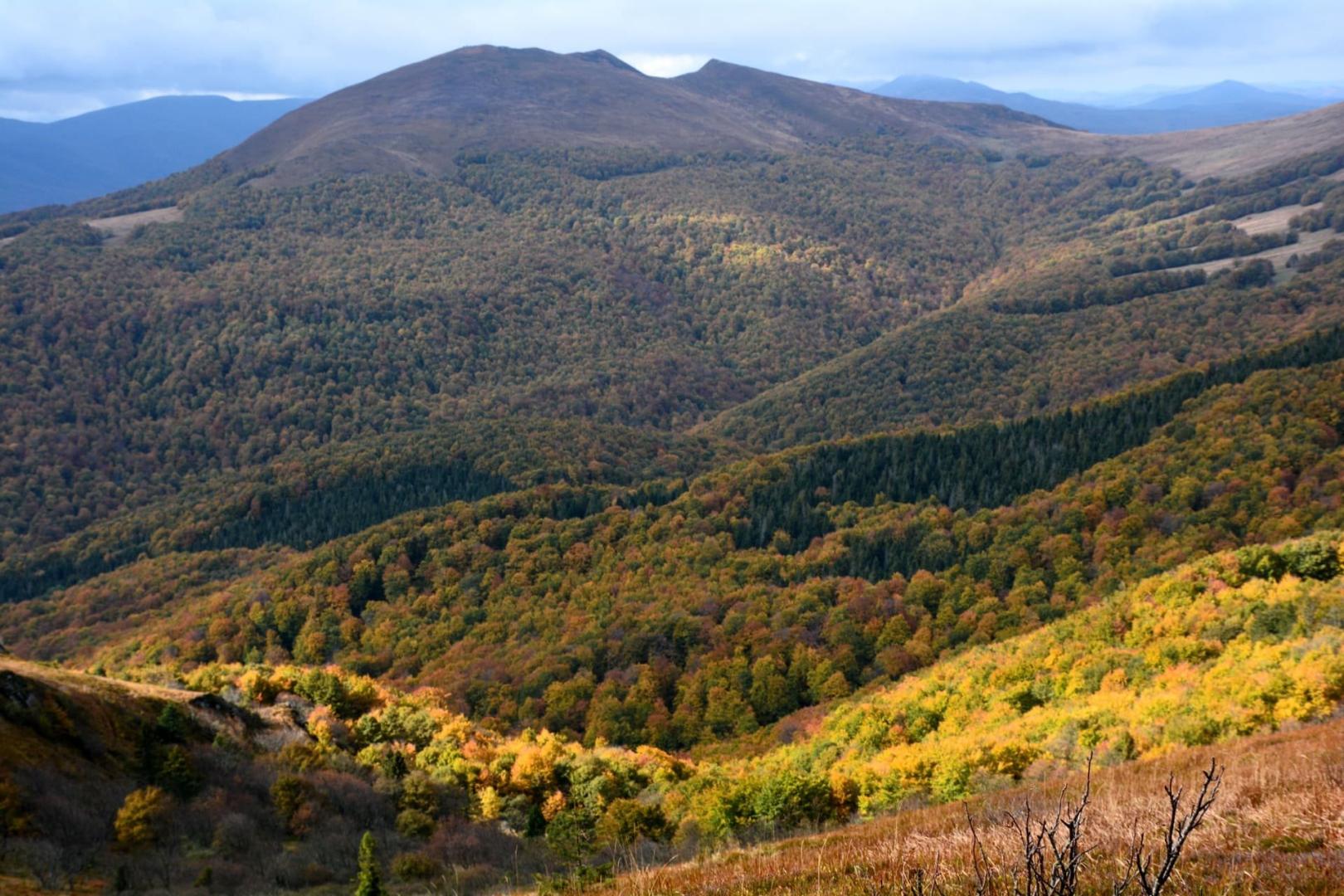 Odwołane Bieszczady