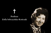Grafika