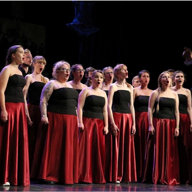 Zdjęcie chóru "Volantes Soni"