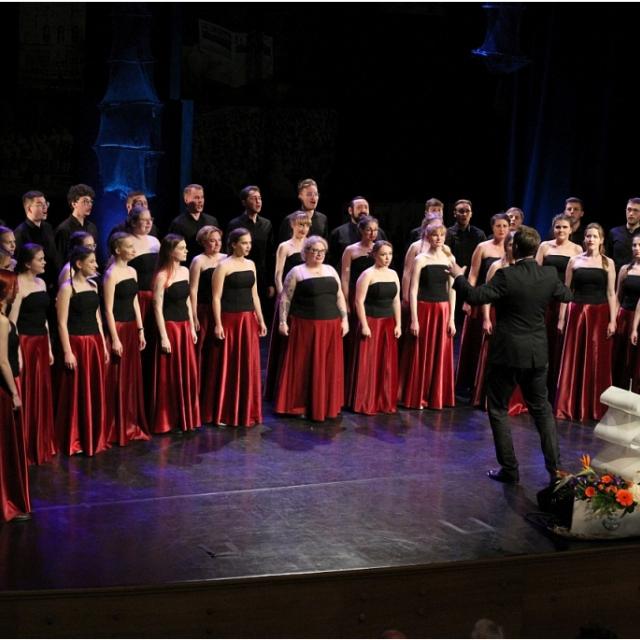 Zdjęcie chóru "Volantes Soni"