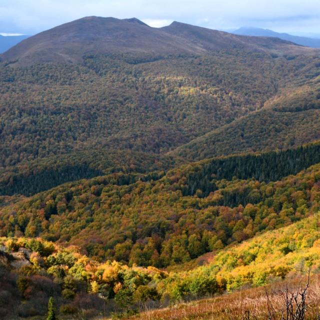 Odwołane Bieszczady